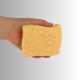 Eco-friendly plastic free sponge